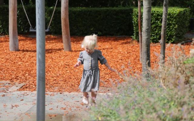 De Kijkdoos
